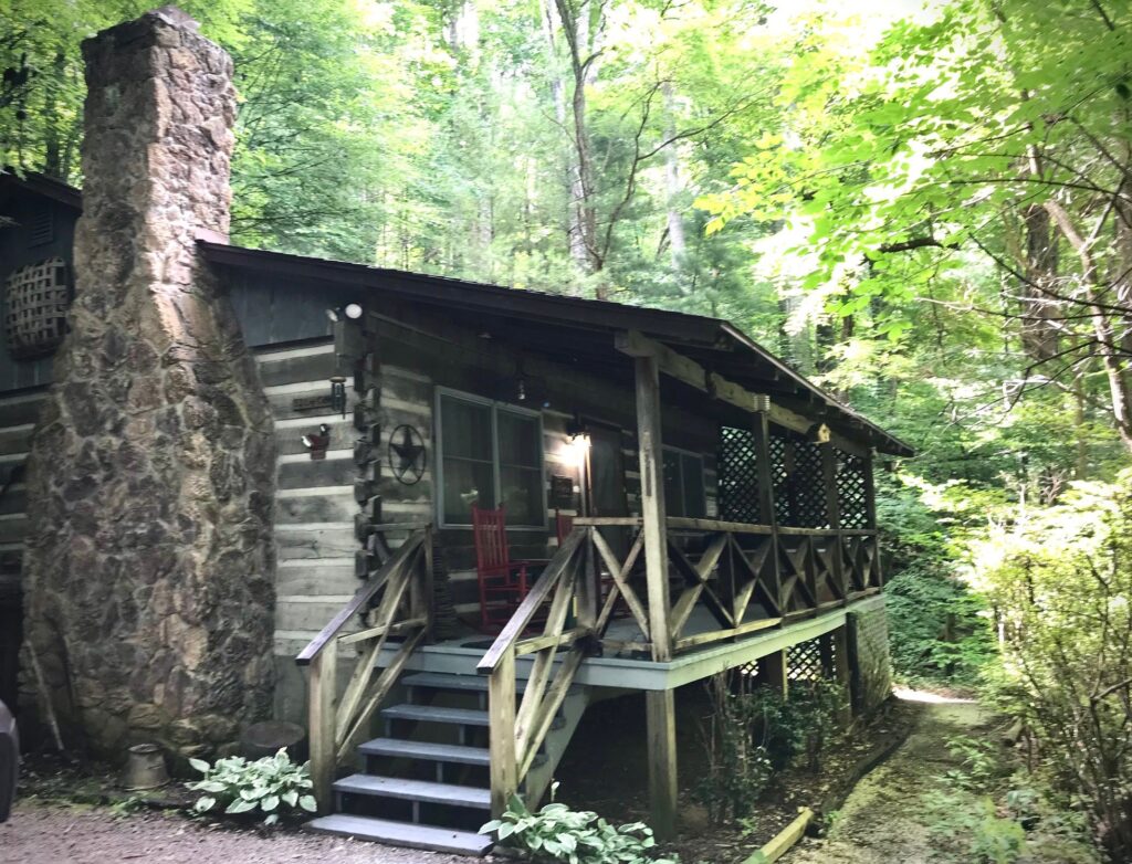 1st Mountain Property Management Property Rentals and Property Maintenance Solutions